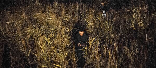 Locul crimei, câmp - Sputnik Moldova