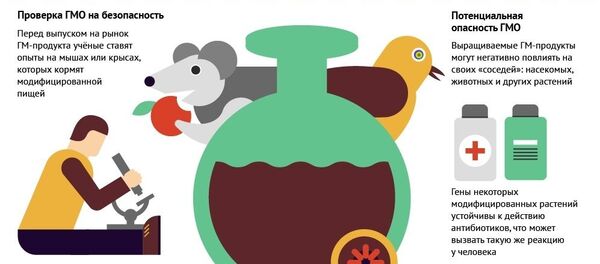 Что скрывается за словом ГМО - Sputnik Молдова