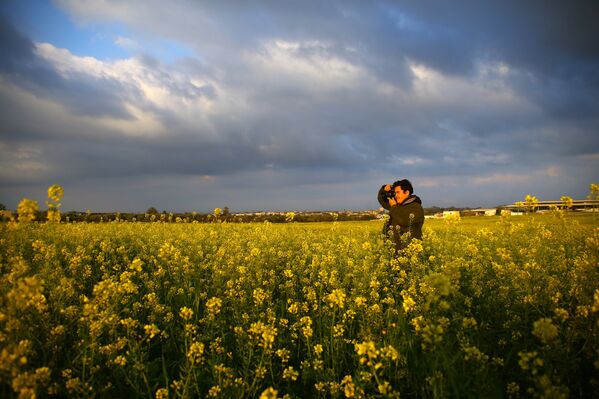 Sectorul Gaza invadat de flori. - Sputnik Moldova