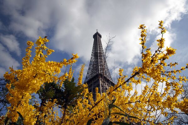 Turnul Eiffel inundat de flori. - Sputnik Moldova