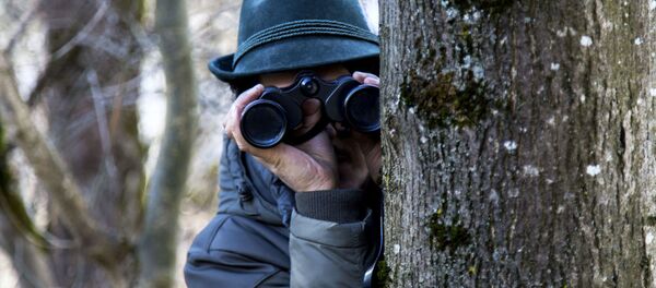 Spion, foto simbol - Sputnik Moldova