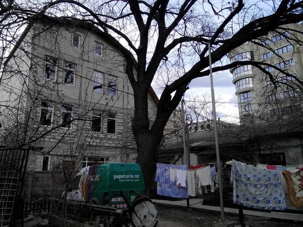 Дуб в старом дворе Кишинева - Sputnik Молдова