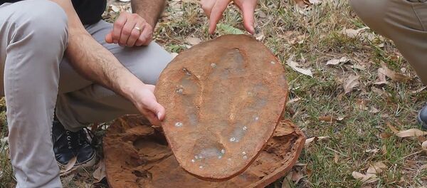 Здесь ходили динозавры - Sputnik Молдова