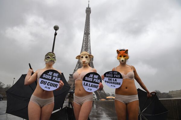 Trei femei au organizat o acțiune de protest în centrul Parisului, în apropierea turnului Eiffel, împotriva hainelor confecționate din pielea și blana animalelor. - Sputnik Moldova-România