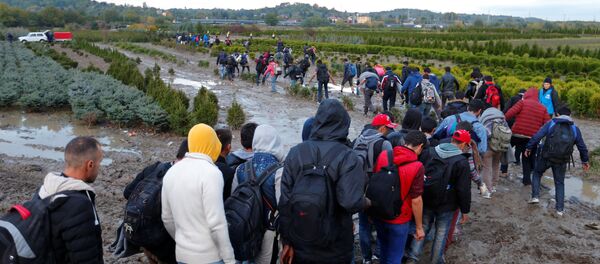 Migrants make their way after crossing the border at Zakany, Hungary October 16, 2015. - Sputnik Moldova-România