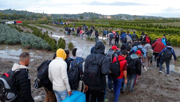 Migrants make their way after crossing the border at Zakany, Hungary October 16, 2015. - Sputnik Moldova