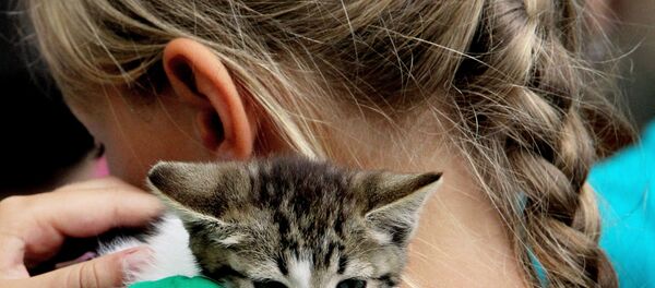 Fetiță cu o pisică în brațe - Sputnik Moldova