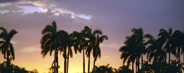 Равнинная часть острова Куба - Sputnik Moldova