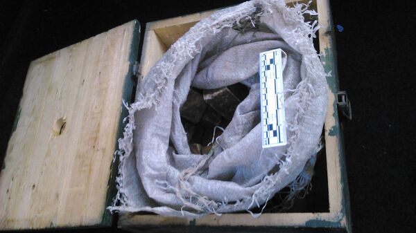 Крупную партию взрывчатки нашли в пригороде Кишинева - Sputnik Молдова