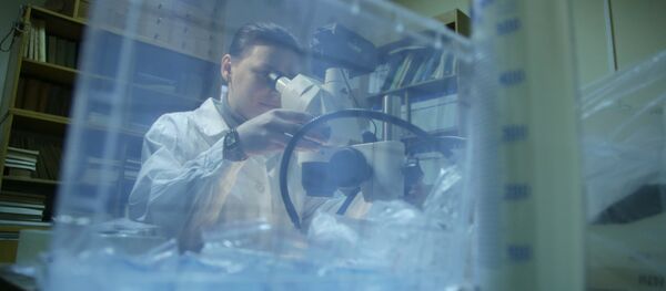 Лаборатория. Архивное фото. - Sputnik Молдова