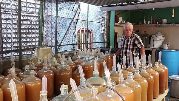 Vinificatorii cubanezi utilizează prezervativele în fermentație - Sputnik Moldova-România