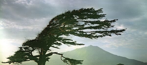 Ветер (wind, windy) - Sputnik Молдова