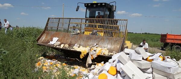 Экскаватор против еды: как уничтожили девять тонн сыра под Белгородом - Sputnik Молдова