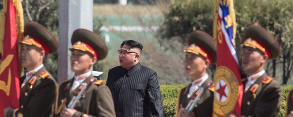 Ceremonie oficială în Coreea de Nord - Sputnik Moldova
