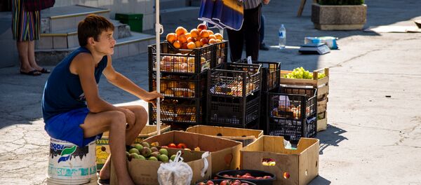 Vinzatori ambulanti - Sputnik Moldova