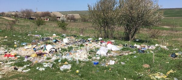 Свалка в Тараклийском районе - Sputnik Moldova