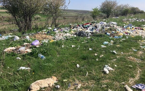 Rampă de gunoi în raionul Taraclia - Sputnik Moldova