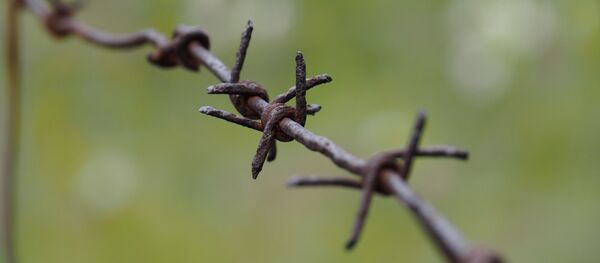 Колючая проволока - Sputnik Молдова