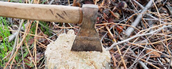 Топор - Sputnik Moldova