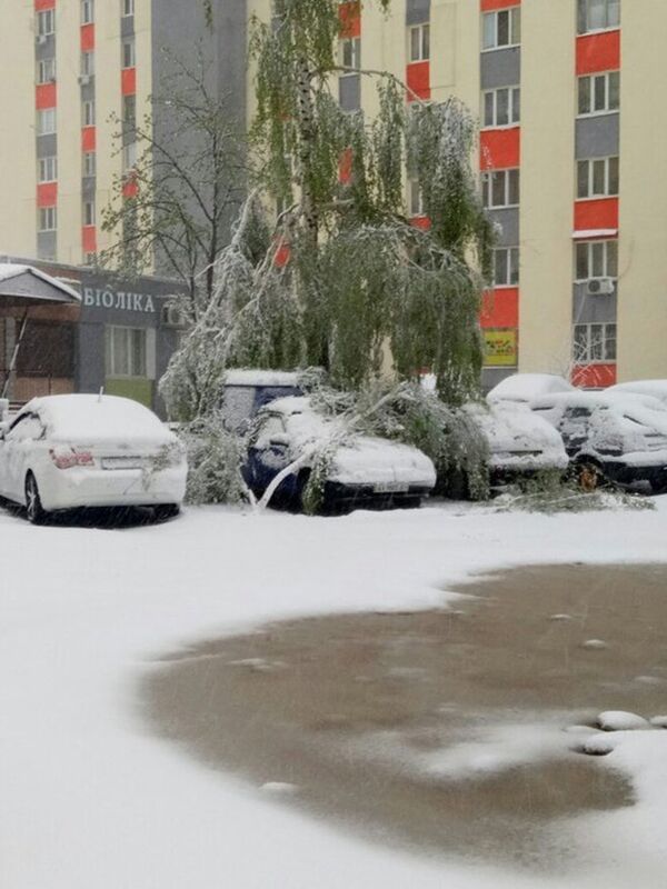 Ninsoare în Ucraina - Sputnik Moldova