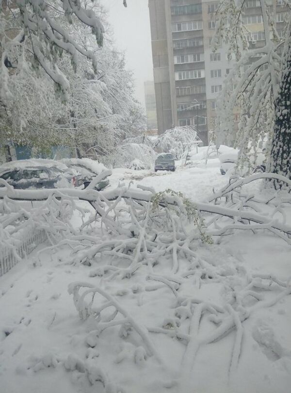 Ninsoare de primăvară în Ucraina în zilele de 18 și 19 aprilie 2017 - Sputnik Moldova