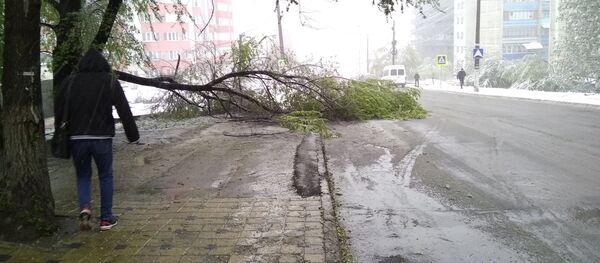 Chișinău. 20 aprilie 2017. Zăpadă - Sputnik Молдова