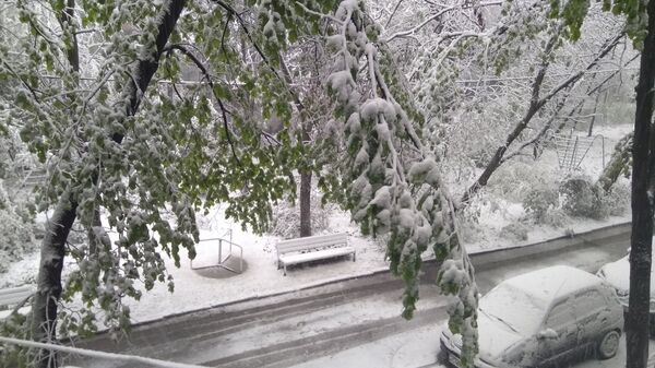 Chișinău. 20 aprilie 2017. Zăpadă  - Sputnik Moldova