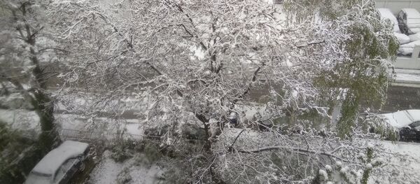 Последствия снегопада - Sputnik Moldova