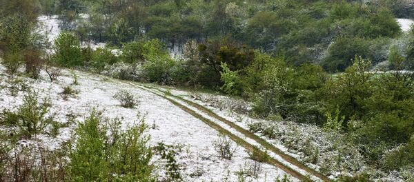 Заснеженные окрестности села - Sputnik Moldova-România