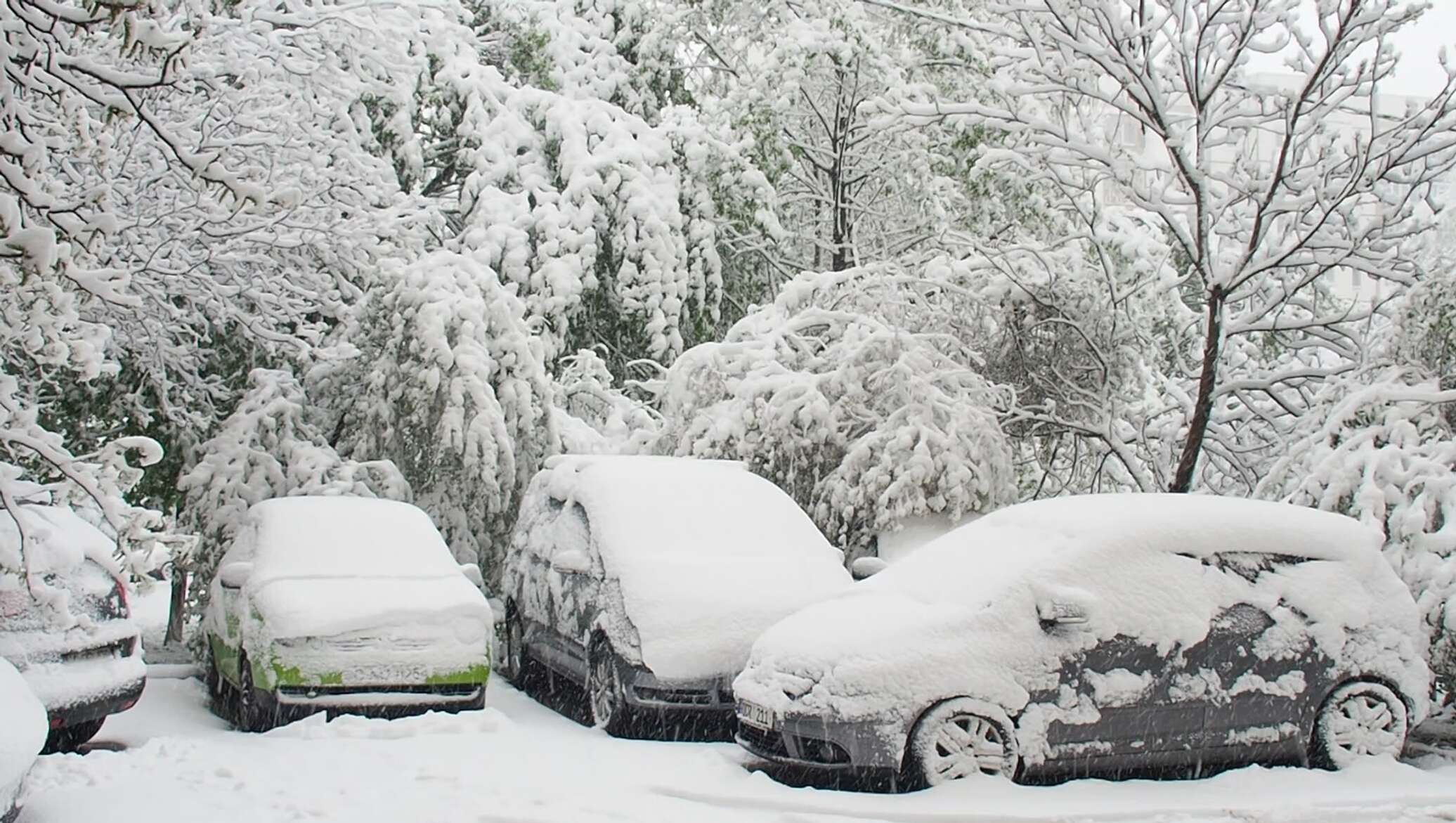 Погода в кишиневе сегодня. Снегопад в апреле в Молдове. Снегопад в Кишиневе 2017 апрель. Самый большой снег в Молдавии. Снегопад в Молдове сегодня.