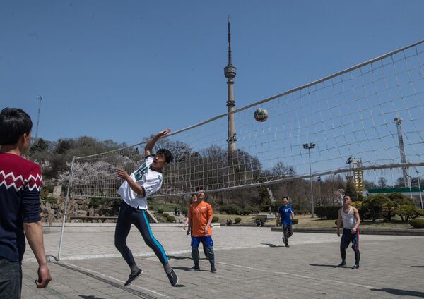 Tinerii joacă volei. Phenian Tinerii joacă volei. Phenian - Sputnik Moldova-România