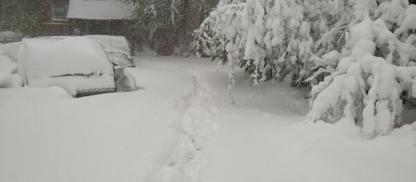 Ситуация в Кишиневе 21/04/2017 - Sputnik Молдова