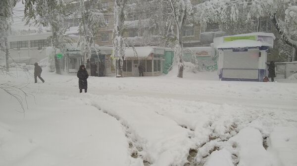 Ситуация в Кишиневе 21/04/2017 - Sputnik Молдова