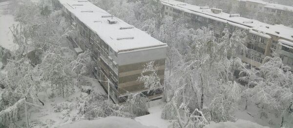 Ситуация в Кишиневе 21/04/2017, Московский проспект - Sputnik Молдова