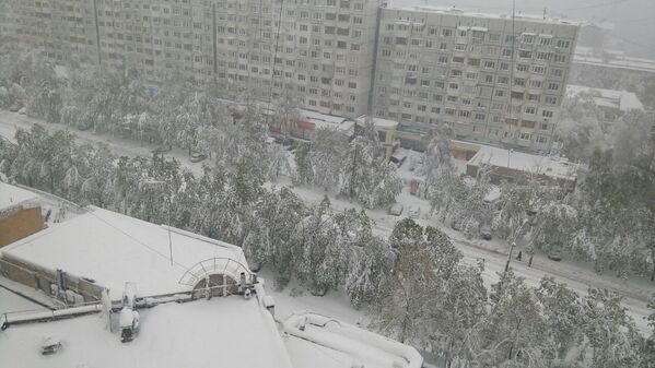 Zăpada a acoperit casele şi arborii, străzile sunt pustii - Sputnik Moldova