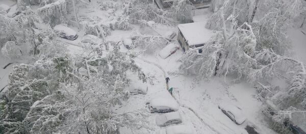 Ситуация в Кишиневе 21/04/2017, Московский проспект - Sputnik Moldova