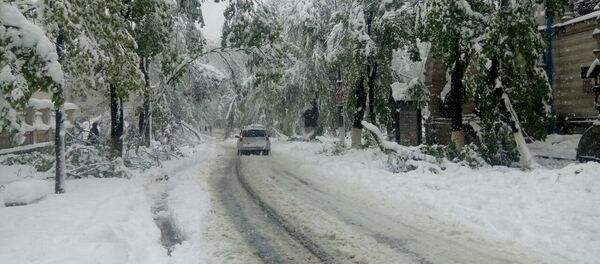 Ситуация в Кишиневе 21/04/2017 - Sputnik Moldova-România