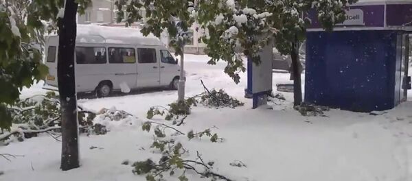 Кишинев 21.04.2017 - Sputnik Молдова