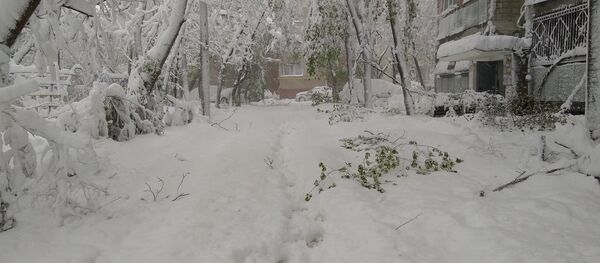 Ситуация в Кишиневе 21/04/2017 - Sputnik Молдова