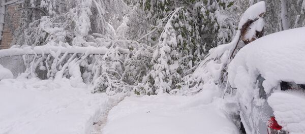 Chișinău Ciocana curte zăpadă 21-04-2017 - Sputnik Moldova