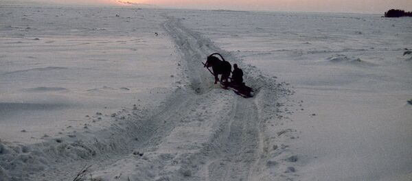 Drum impracticabil pentru transportul auto, din cauza zăpezii - Sputnik Moldova