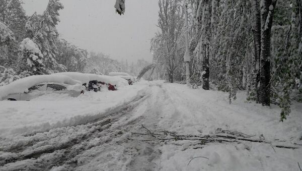 Снегопад в Кишиневе - Sputnik Молдова