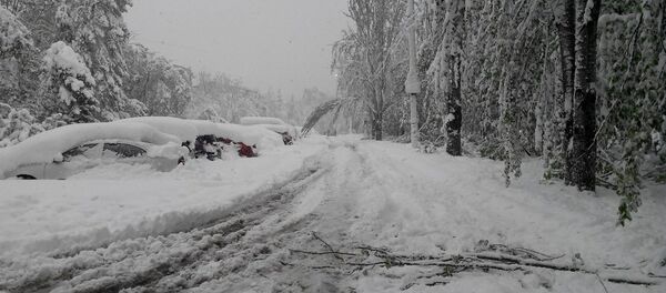 Снегопад в Кишиневе Снегопад в Кишиневе - Sputnik Молдова