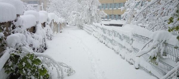 Снегопад в Кишиневе 21.04.2016 - Sputnik Молдова