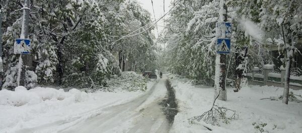 Снегопад в Кишиневе 21.04.2016 - Sputnik Moldova