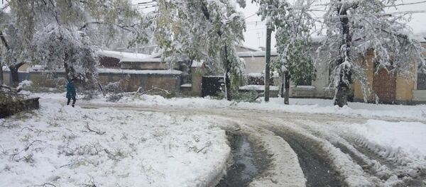 Снегопад в Кишиневе 21.04.2016 Снегопад в Кишиневе 21.04.2016 - Sputnik Молдова