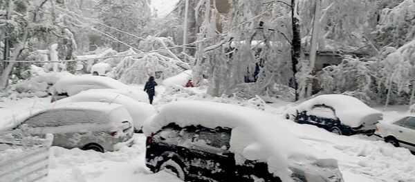 Кишиневцы о стихии такого мы еще не видели - Sputnik Молдова