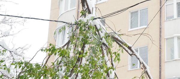 Снегопад в Кишиневе 21.04.2016 - Sputnik Молдова