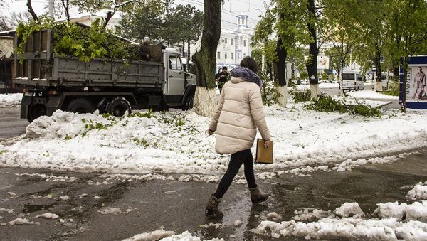 Тирасполь-уборка после стихии Тирасполь-уборка после стихии - Sputnik Молдова