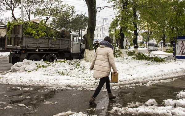 Тирасполь, уборка после разгула стихии Тирасполь, уборка после разгула стихии - Sputnik Молдова